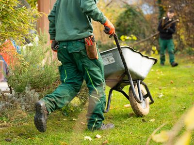 established-landscaping-and-garden-design-business-queanbeyan-canberra-region-0