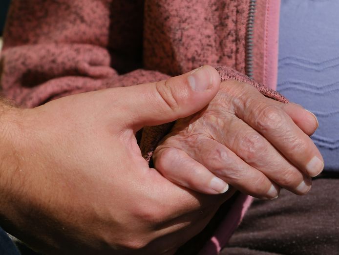 registered-aged-care-and-ndis-provider-two-established-nsw-territories-offered-4