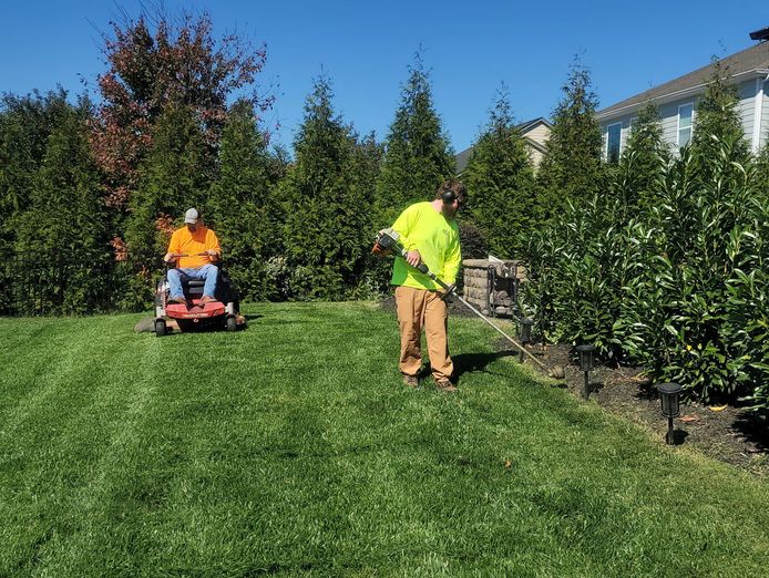 established-landscaping-and-garden-design-business-queanbeyan-canberra-region-1