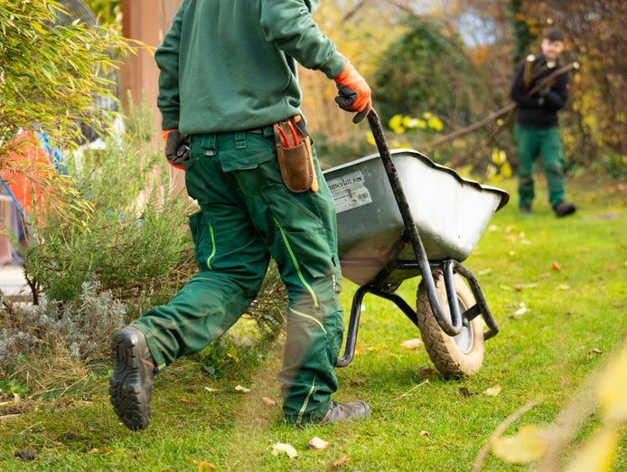 established-landscaping-and-garden-design-business-queanbeyan-canberra-region-0