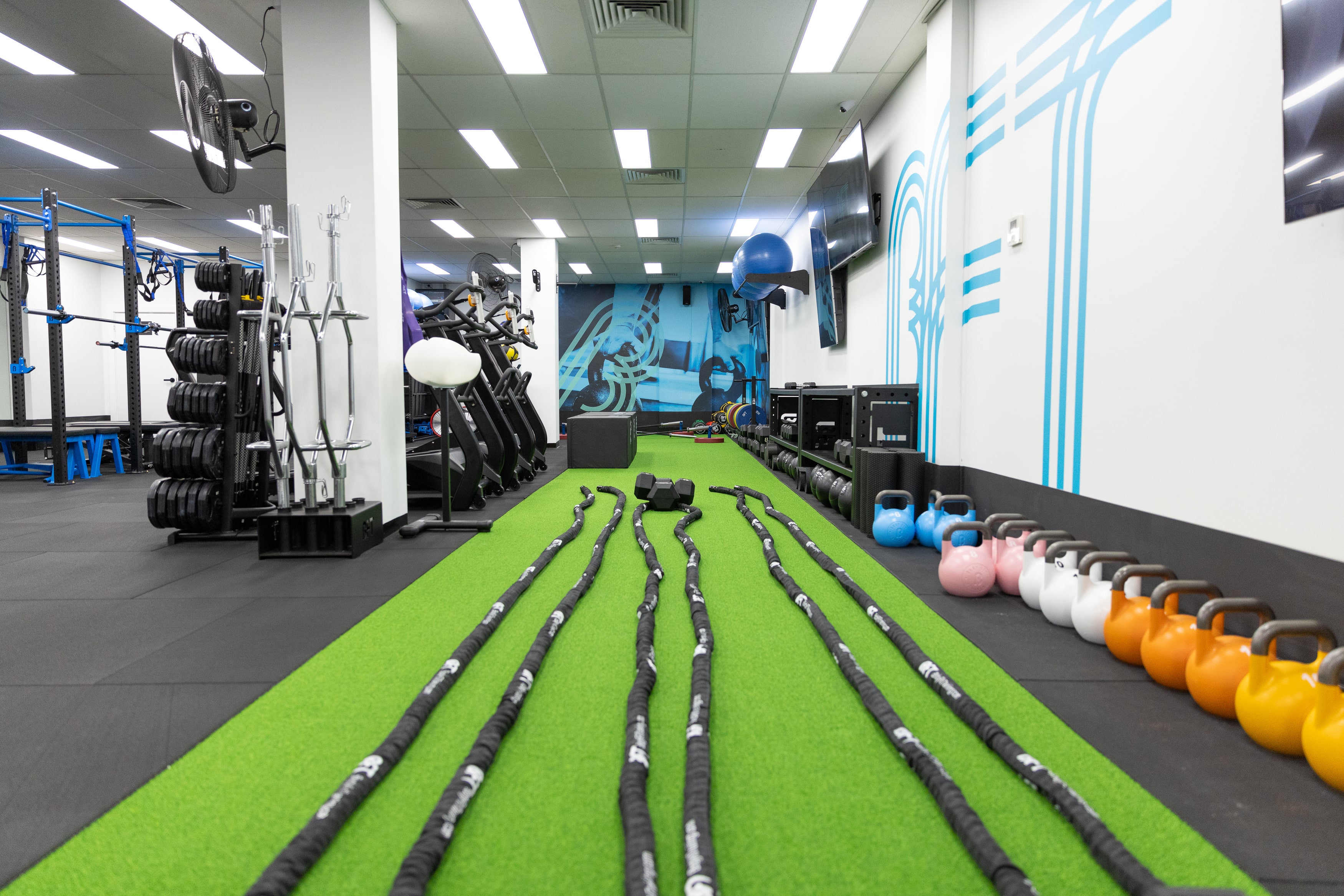 The Ultimate Body Fit Training Guide By Railey Holst - lhhu500