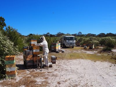 miellerie-honey-woodbridge-tasmania-5