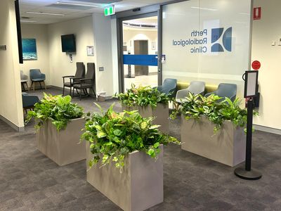 highly-profitable-lifestyle-business-35-net-margin-strong-roi-4