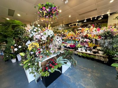 highly-profitable-lifestyle-business-35-net-margin-strong-roi-0