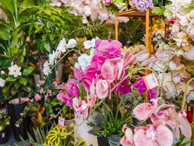 well-established-artificial-flowers-plants-and-wedding-event-business-8