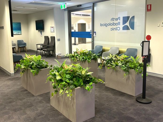 highly-profitable-lifestyle-business-35-net-margin-strong-roi-4