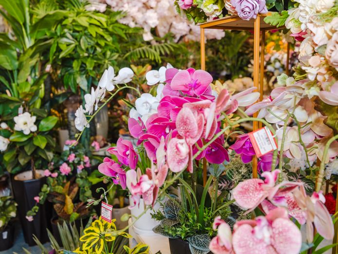 well-established-artificial-flowers-plants-and-wedding-event-business-8