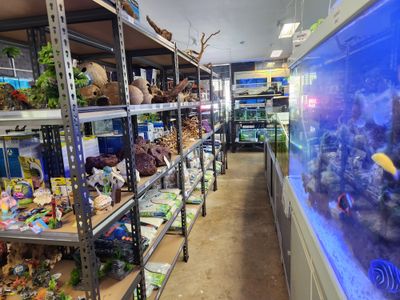 aquarium-store-for-sale-7