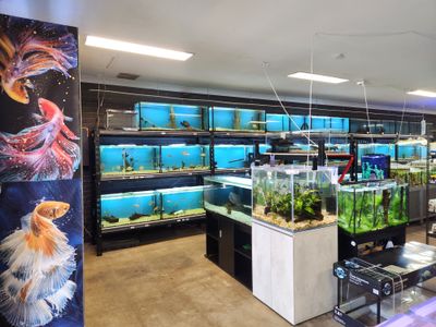 aquarium-store-for-sale-2