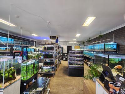 aquarium-store-for-sale-0