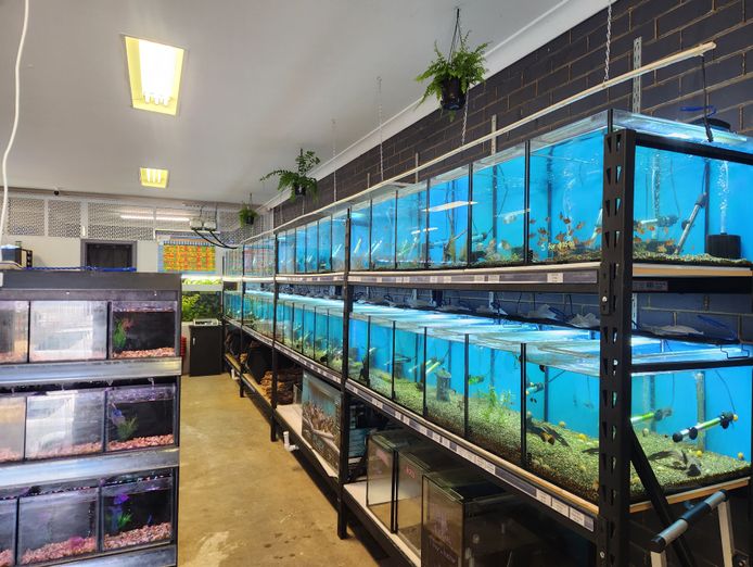 aquarium-store-for-sale-5