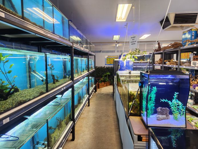 aquarium-store-for-sale-4