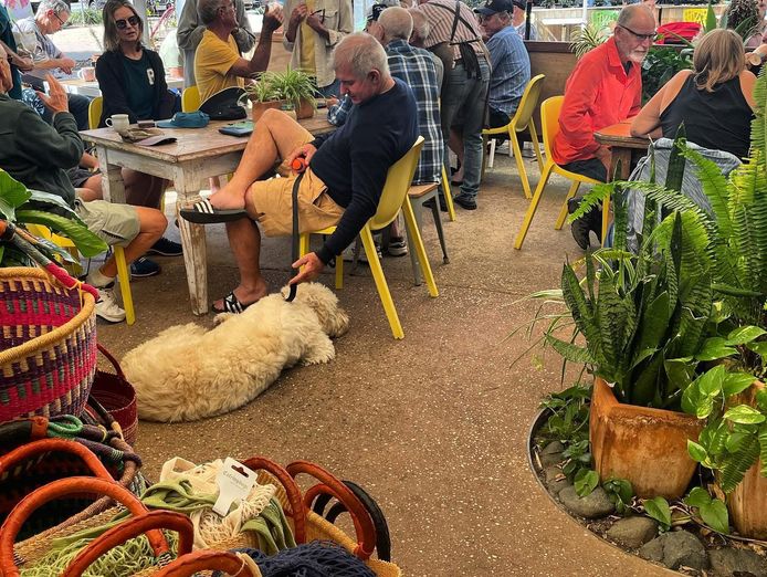 exceptional-iconic-grocer-coffee-opposite-main-beach-lifestyle-business-3