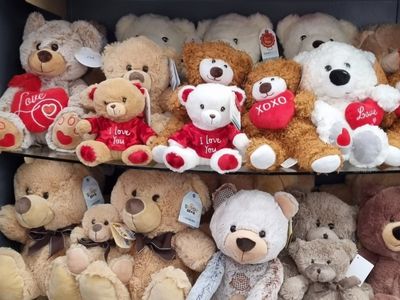 florist-gift-shop-for-sale-9