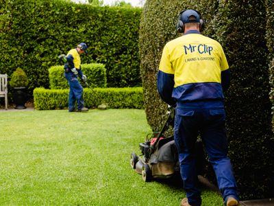 mr-clip-gardening-and-mowing-franchise-3