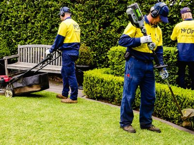 mr-clip-gardening-and-mowing-franchise-2