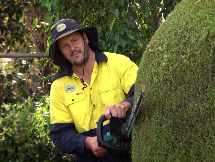 mr-clip-gardening-and-mowing-franchise-5