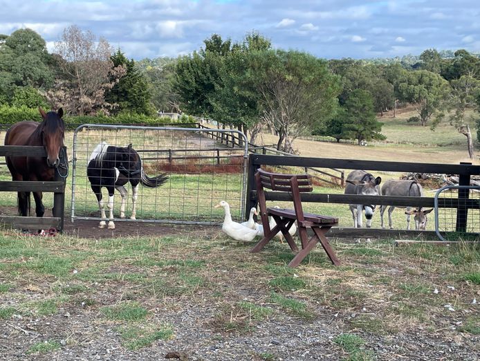 ndis-respite-care-service-in-farm-setting-with-an-excellent-reputation-8