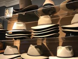 Established,Profitable Retail Hat Shop for Sale - Prime Noosa location