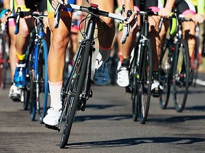 bicycle-centre-bendigo-1