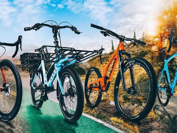 bicycle-centre-bendigo-0