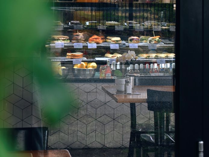 a-modern-rebranded-cafe-with-strong-fundamentals-and-clear-growth-upside-1