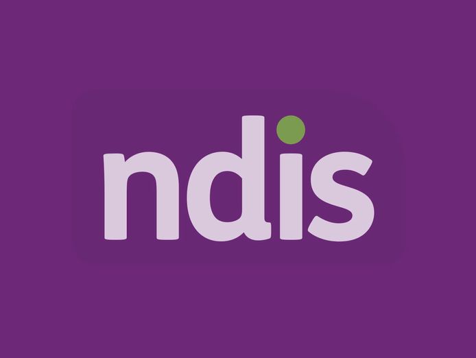 ndis-business-profitable-and-fully-managed-operated-remotely-0