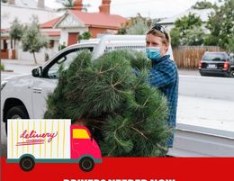 Online Christmas Tree Delivery (Melbourne based, 14 years old, loyal customers)