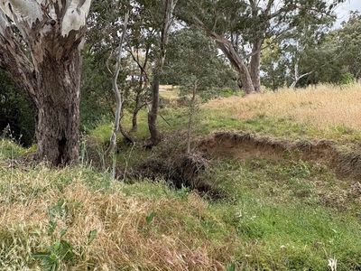 freehold-liquor-lpo-general-store-6-br-residence-in-nangus-7