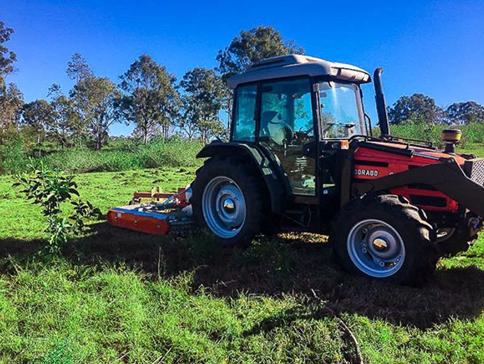 commercial-slashing-business-in-wagga-1