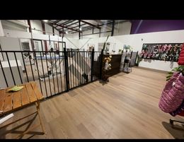 Well Established and Successful Dog & Cat Grooming Salon
