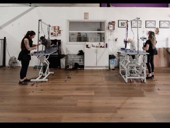 well-established-and-successful-dog-cat-grooming-salon-1