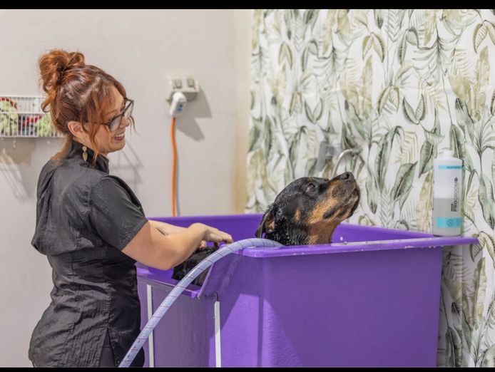 well-established-and-successful-dog-cat-grooming-salon-2