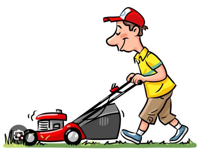cleaning-and-lawn-mowing-business-for-sale-in-northern-nsw-2
