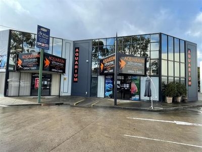 established-aquarium-amp-pet-retail-business-strong-profits-1