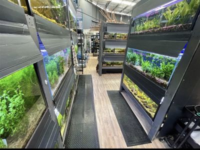 established-aquarium-amp-pet-retail-business-strong-profits-3