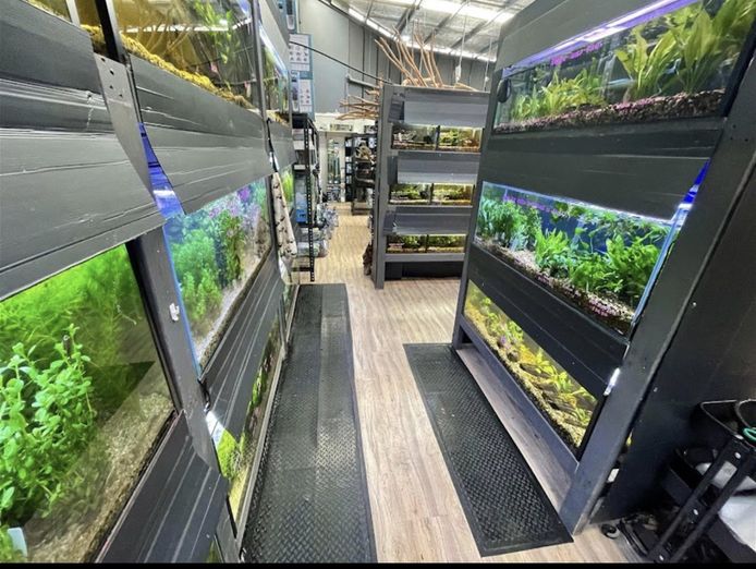 established-aquarium-amp-pet-retail-business-strong-profits-3