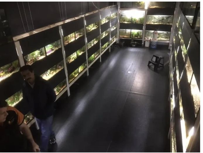 established-aquarium-amp-pet-retail-business-strong-profits-2
