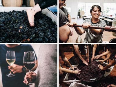 noisy-ritual-melbournes-premier-urban-winery-6