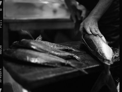 fishmonger-for-sale-0