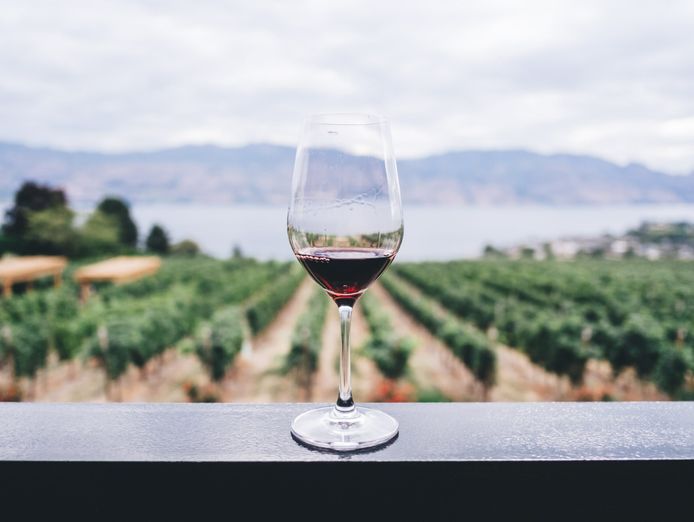 phenomenal-winery-with-real-estate-opportunity-0