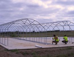 Thriving Greenhouse & Polytunnel Business for Sale!