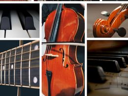 Well Established Music School Piano Violin Guitar Business For Sale