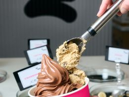Yo Way Franchise Resale Opportunity – $149k investment!