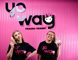 Invest in Yo Way: Premium Frozen Yogurt Franchise Opportunities