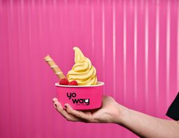 Yo Way Franchise Resale | Established Store Yo Way Franchise Resale | Established Store