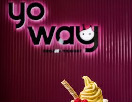 Start Your Own Frozen Yoghurt Cafe – Yo Way Franchise