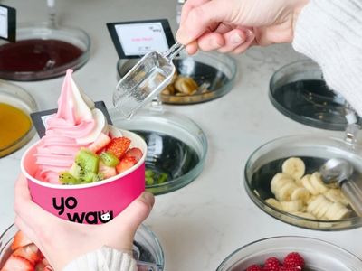 premium-frozen-yoghurt-franchise-yo-way-0