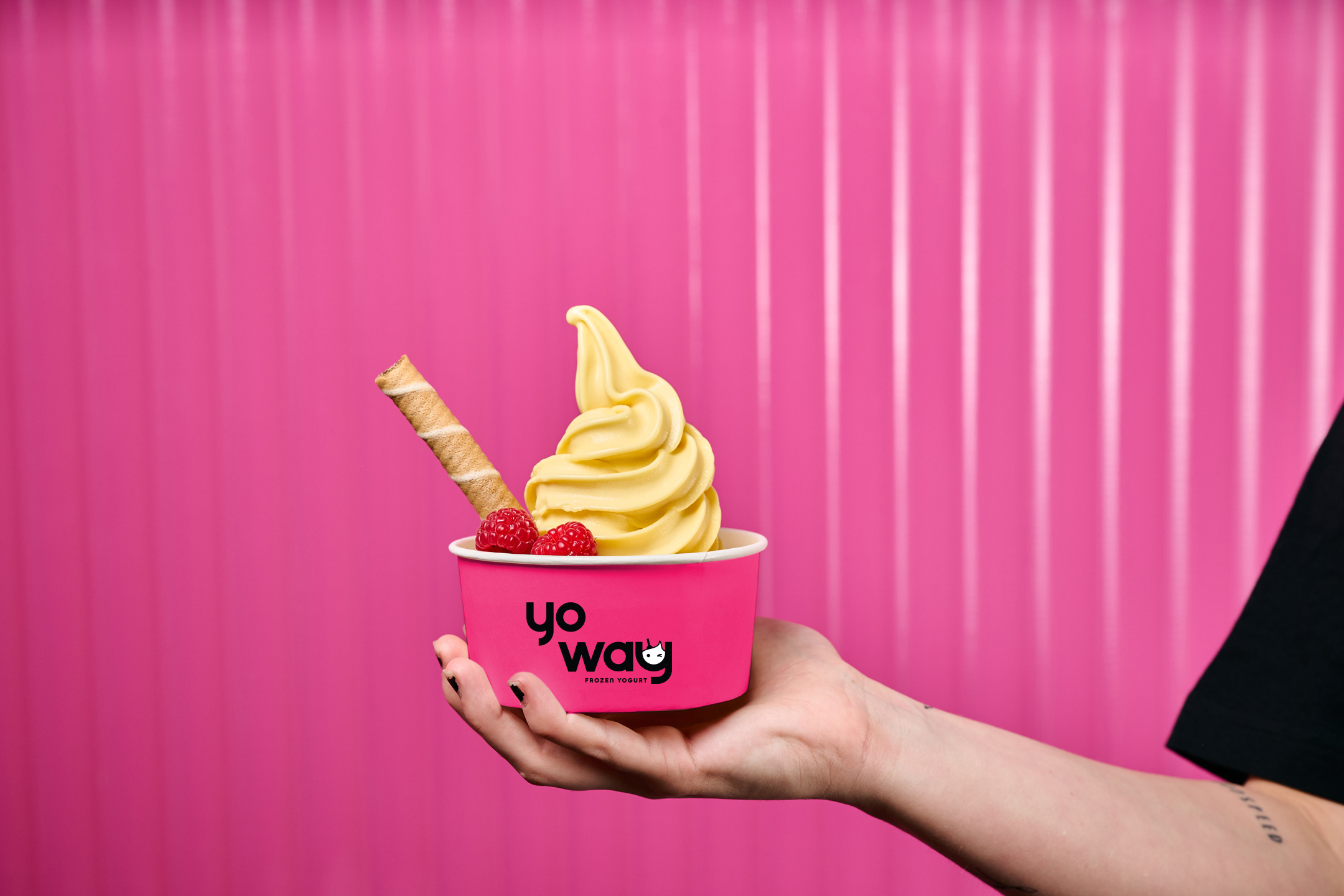 Start Your Own Frozen Yoghurt Cafe Yo Way Franchise in Brisbane Greater QLD SEEK Business