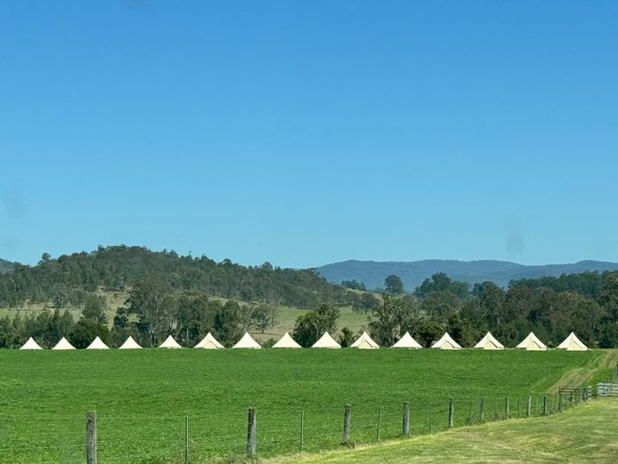 mobile-glamping-wedding-event-hire-online-retail-business-0